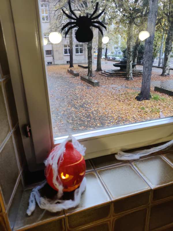 Ein leuchtender Kürbis mit Spinnweben steht am Fenster, draußen Herbstlaub und eine schwarze Spinne hängt am Glas