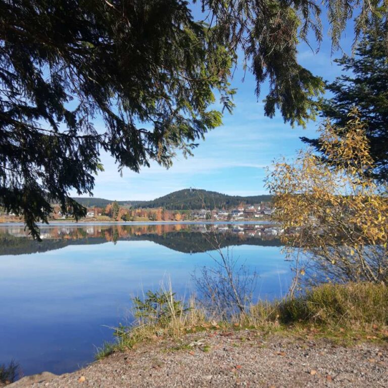 Ein ruhiger See mit klarem Wasser, Bäumen am Ufer und blauer Himmel mit Bergen im Hintergrund