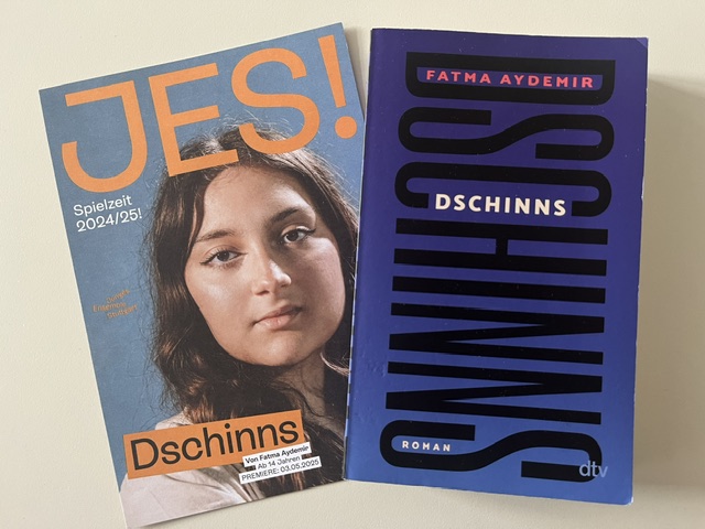 Zwei Bücher, links JES Dschinns blau orange, rechts blau Dschinns Fatma Aydemir